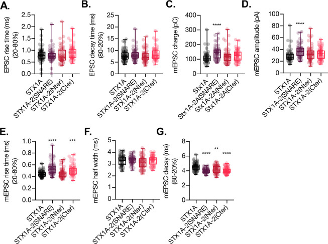 Figure 2—figure supplement 1.