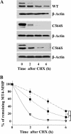 FIGURE 7.