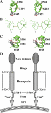FIGURE 6.