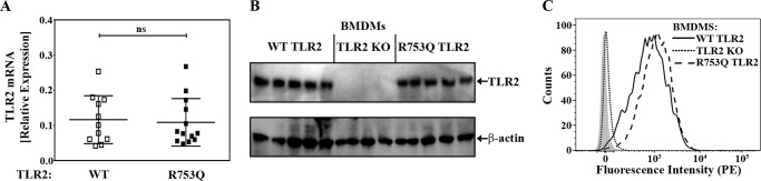 Figure 5.