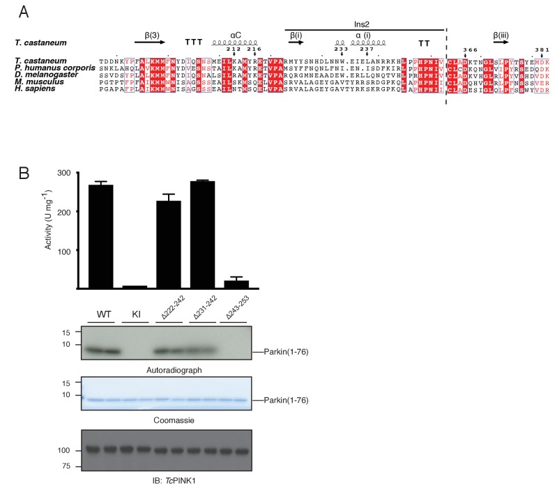 Figure 3—figure supplement 1.