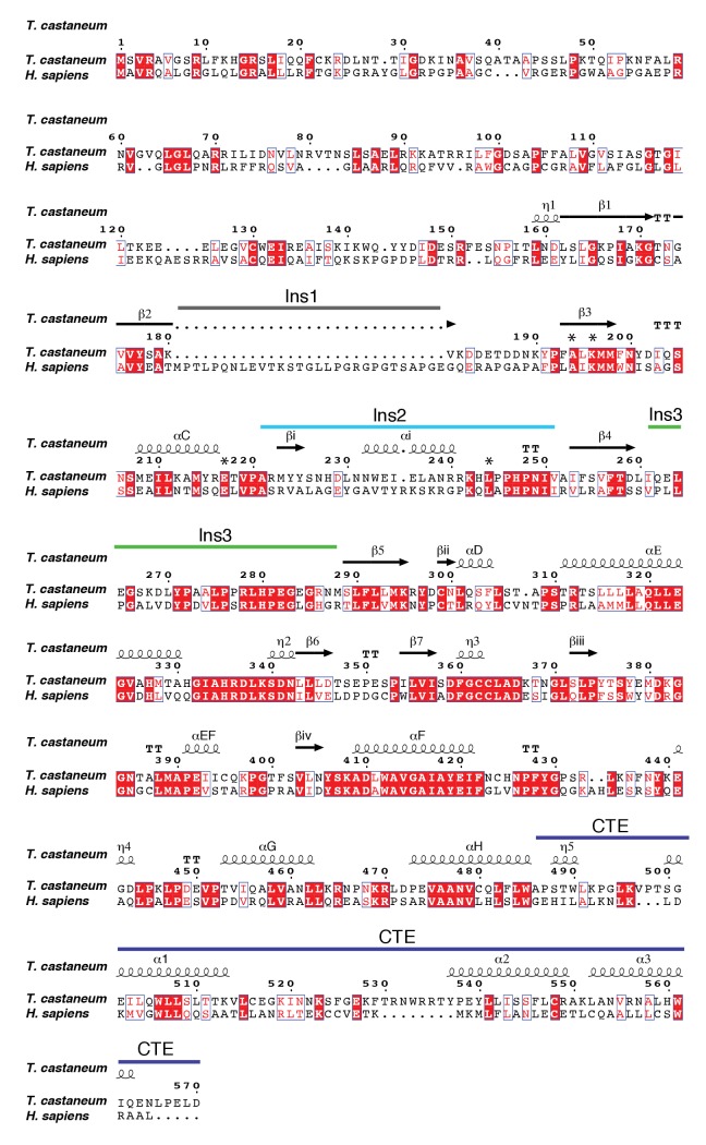 Figure 4—figure supplement 1.