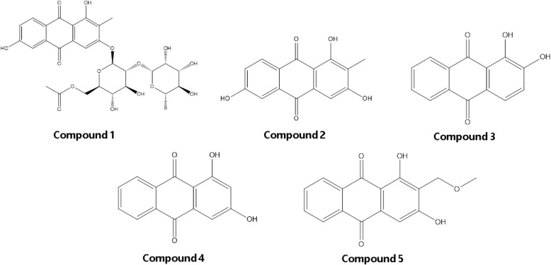 Fig. 1