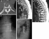 Fig. 2