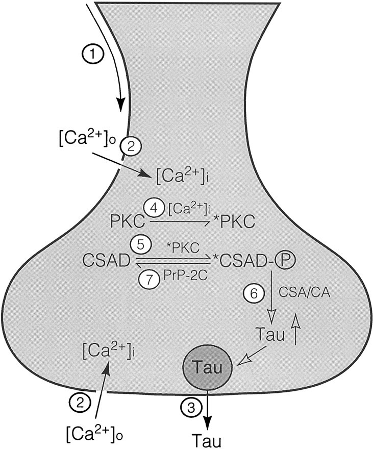 Fig. 5.