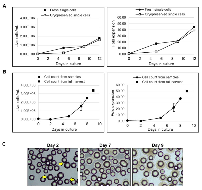 Figure 9