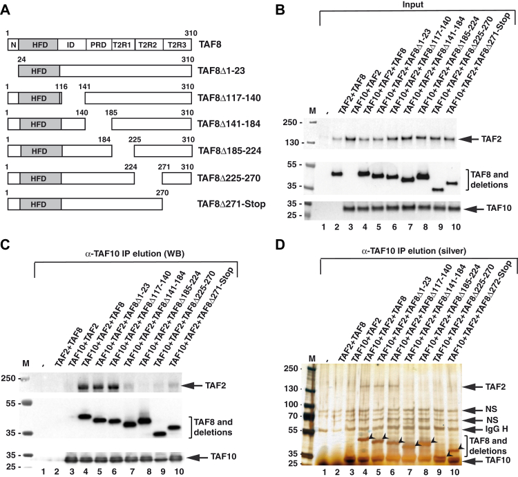 Figure 2