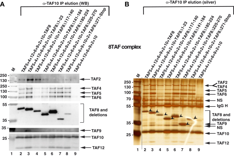 Figure 4