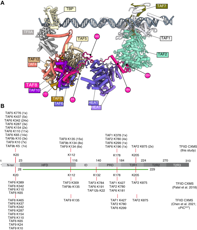 Figure 1