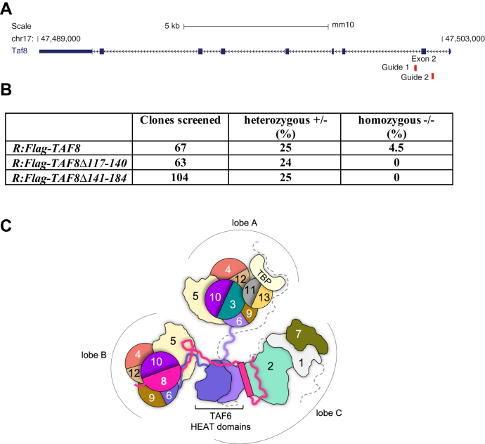 Figure 7