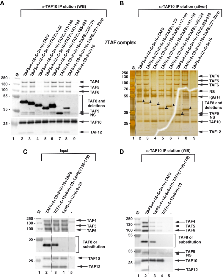 Figure 3