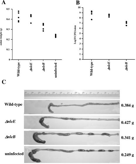 FIG. 5.