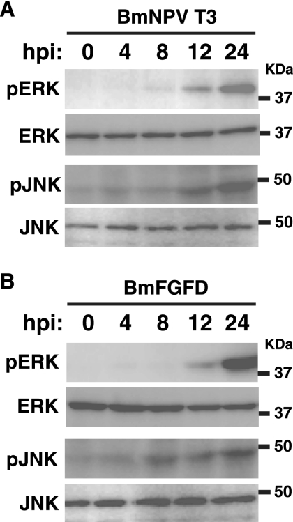 FIG. 9.