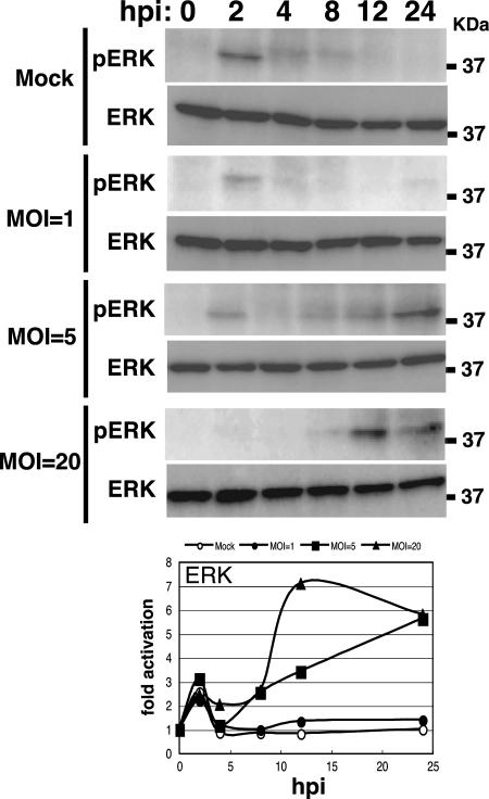 FIG. 6.