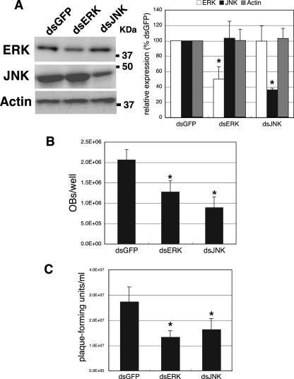 FIG. 8.