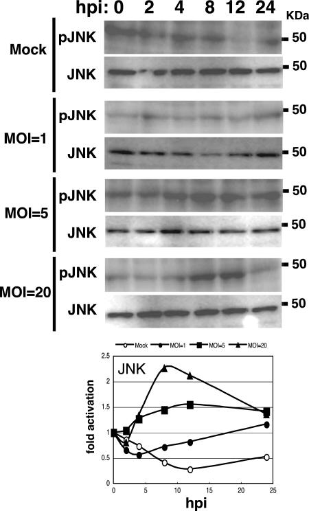 FIG. 7.