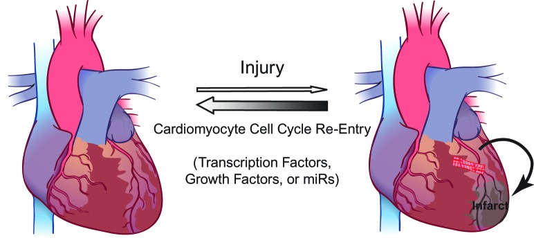 Figure 3. 