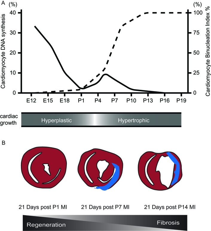 Figure 1. 