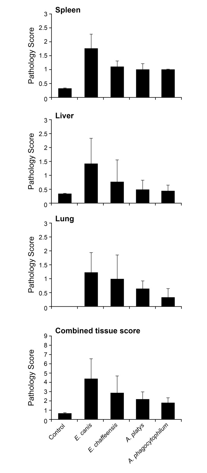 Fig 8