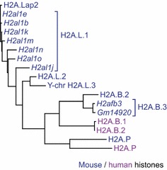 Fig. 3