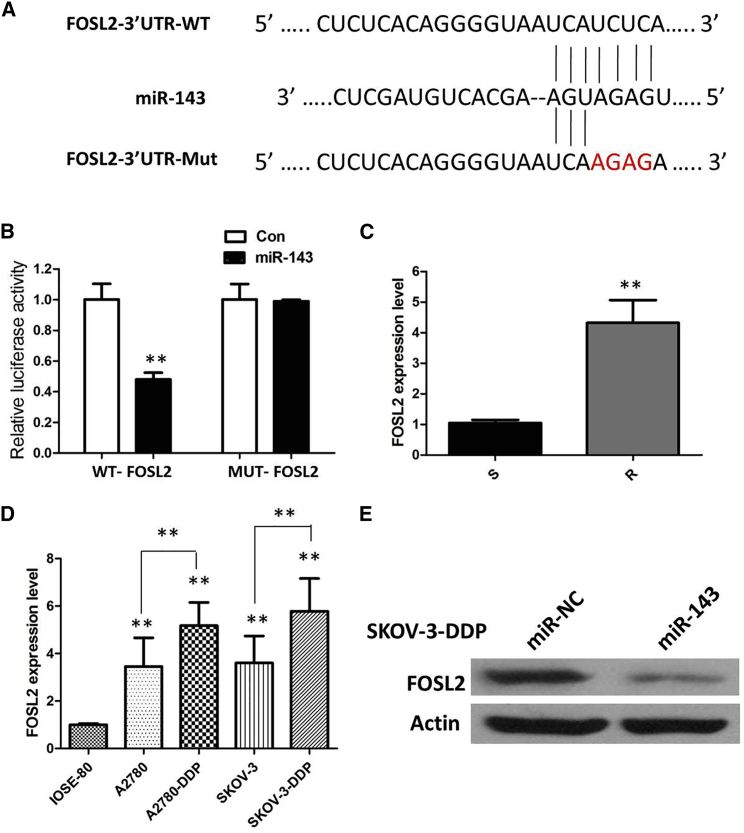 Figure 6