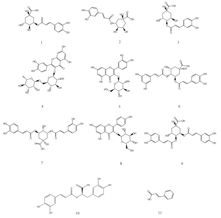 Figure 7