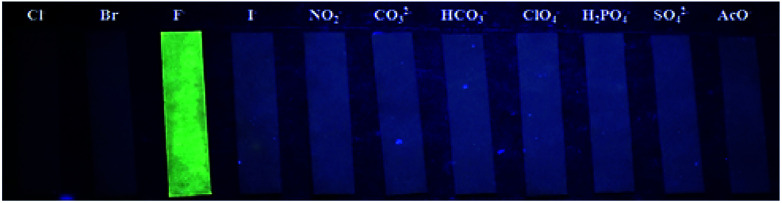 Fig. 9