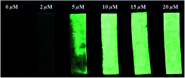 Fig. 8