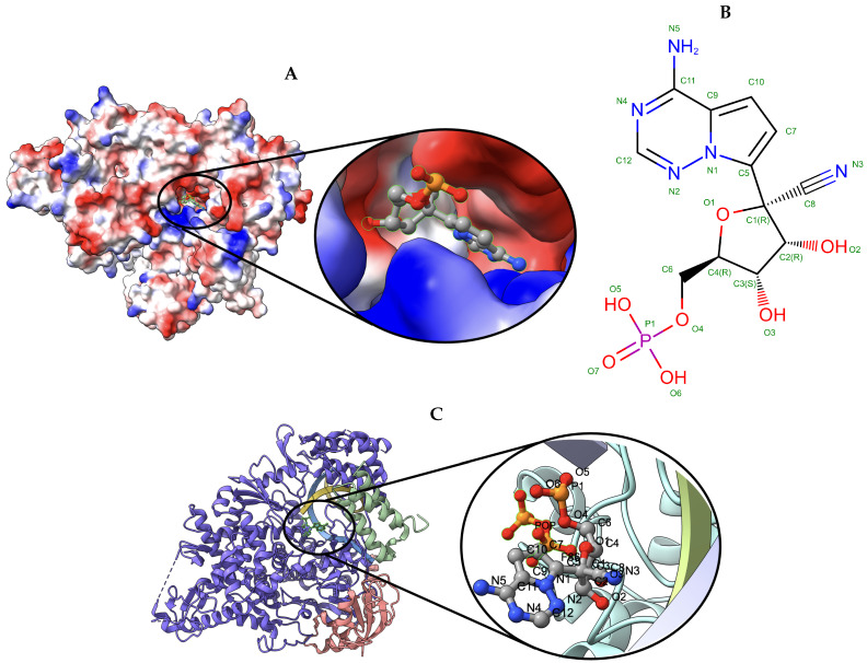 Figure 7