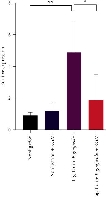 Figure 5