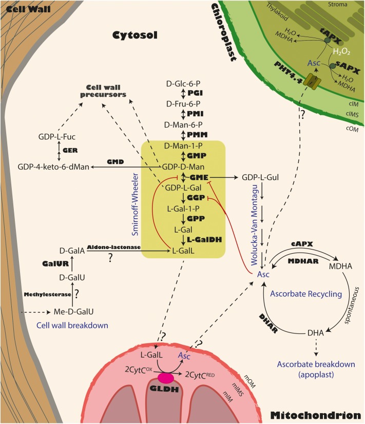 FIGURE 2