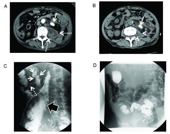 Fig. 1.