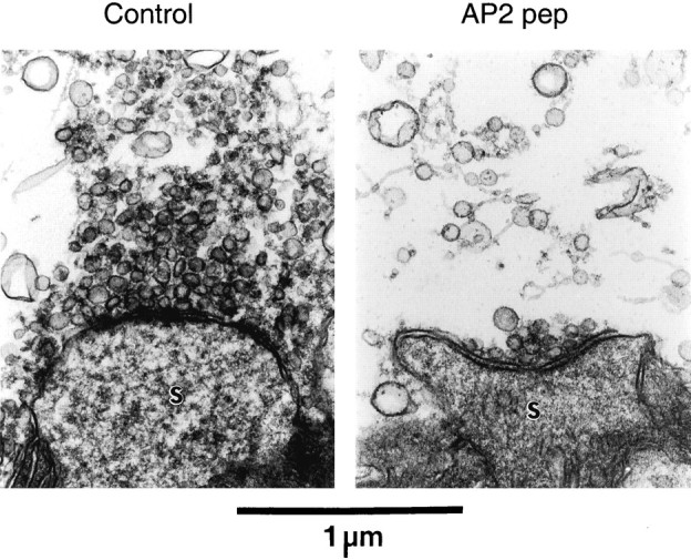 Fig. 8.