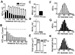 Fig. 9.