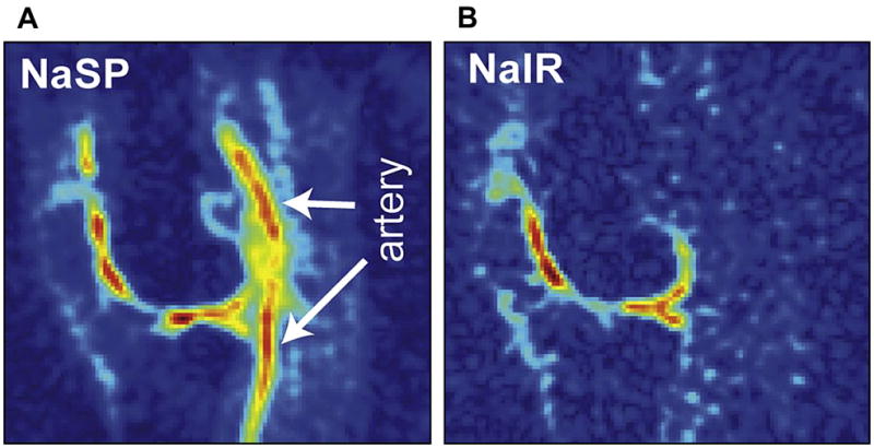 Figure 10