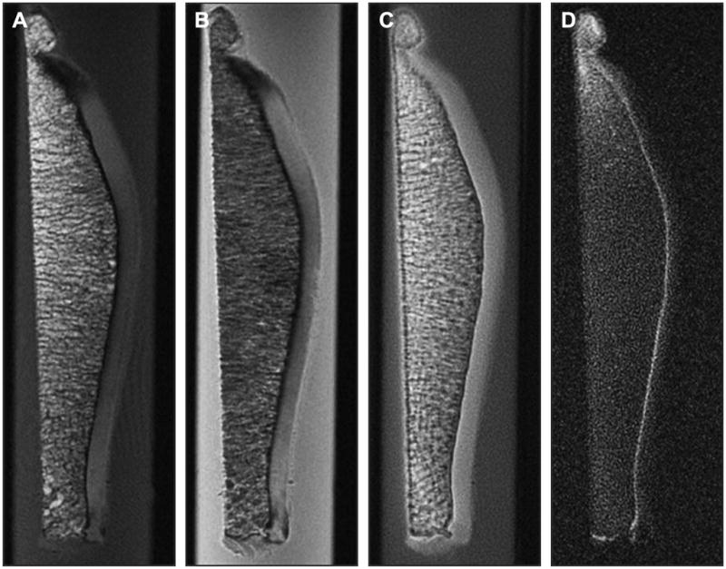 Figure 26