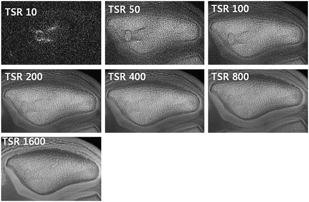 Figure 27