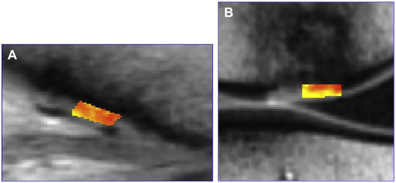 Figure 24