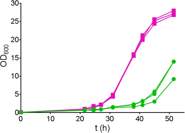 Fig. 9