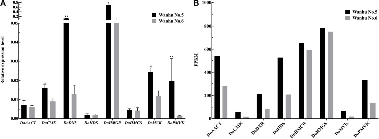 FIGURE 11