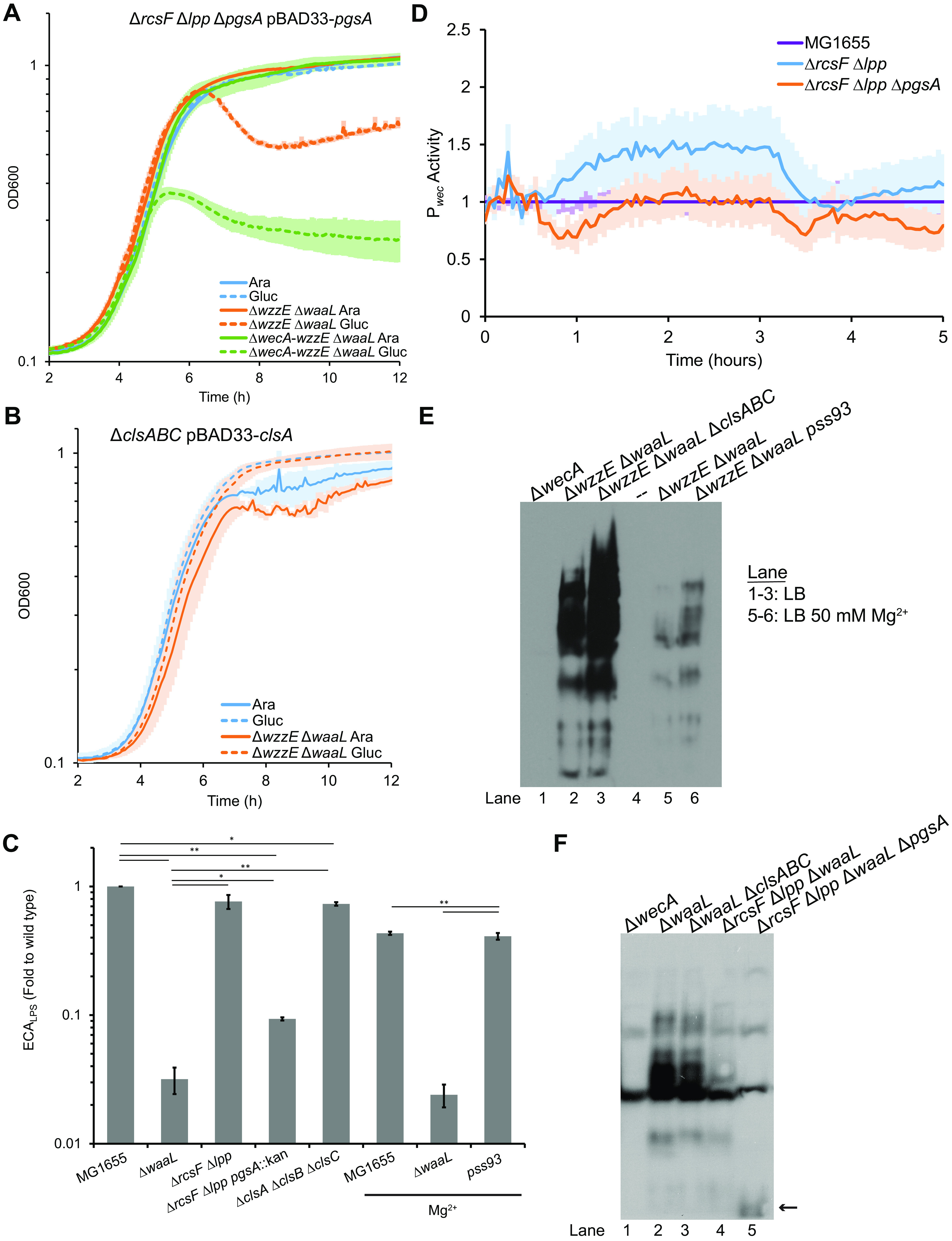 FIG 6