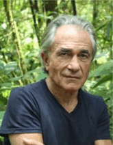 graphic file with name ADVS-12-e09567-g001.gif