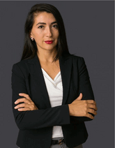 graphic file with name ADVS-12-e09567-g014.gif