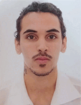 graphic file with name ADVS-12-e09567-g024.gif