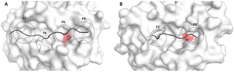 Figure 2: