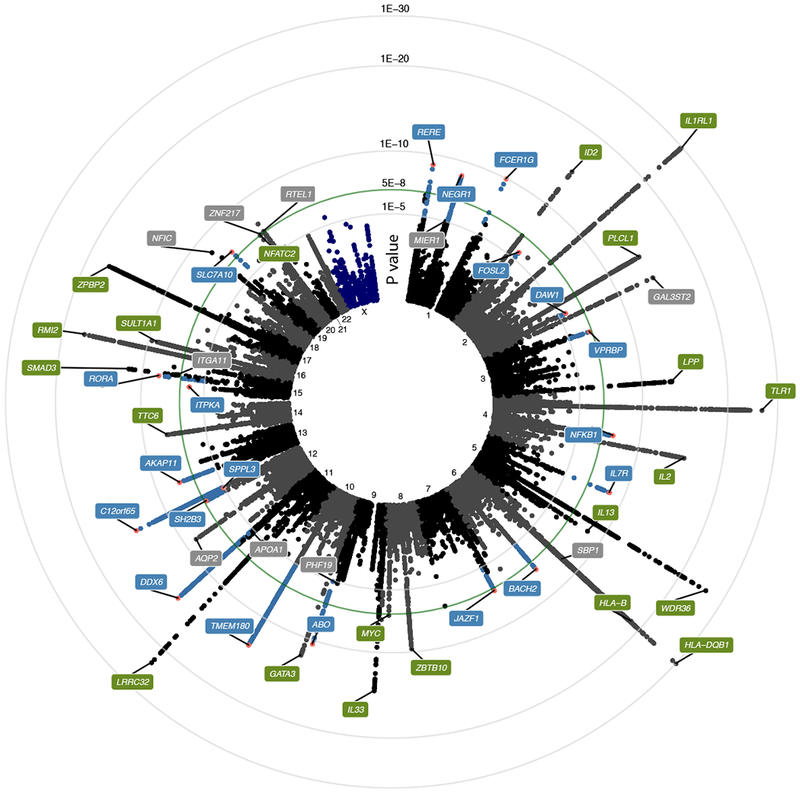 Figure 1: