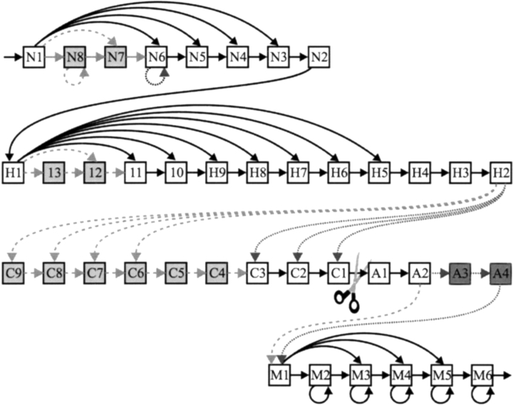 Figure 6.