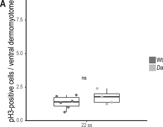 Figure 2—figure supplement 2.