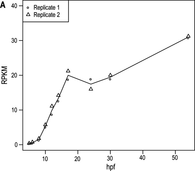 Figure 7—figure supplement 1.