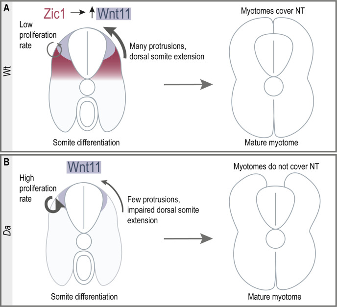 Figure 10.